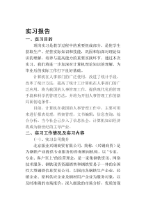 计算机实习报告总结