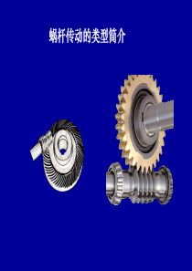 蜗轮蜗杆传动类型简介