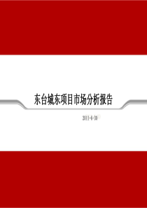 盐城市东台市城东项目定位报告2