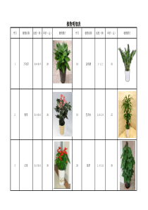 绿植租摆报价(含图片)