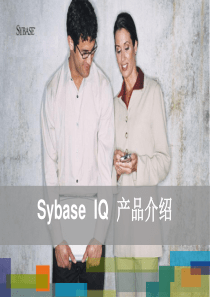 XXXX_Sybase IQ 产品介绍