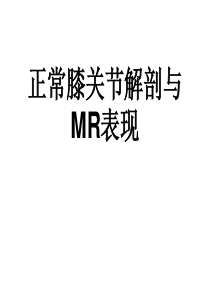 膝关节MR解剖