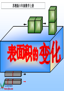 表面积的变化-(好)