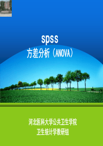 spss方差分析