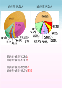 高二生物必修一糖类和脂质