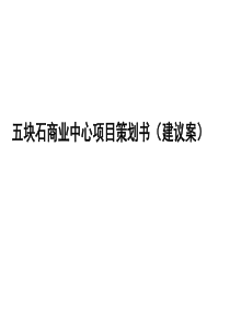 五块石商业中心项目策划书(ppt45)(1)