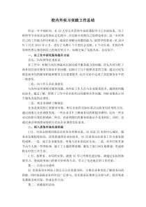 校内外实习实践工作总结MPA