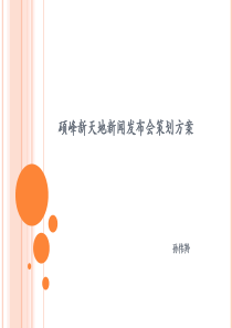 云南省文山市硕峰新天地项目新闻发布会策划方案（PPT24页）