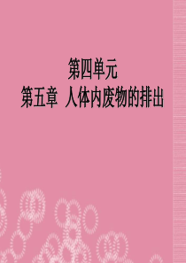 《人体内废物的排出》课件-新人教版