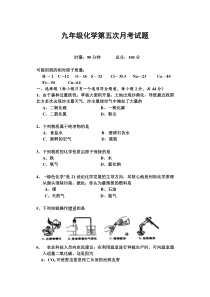 九年级化学第五次月考试题