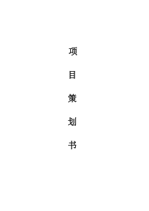 企业项目策划书