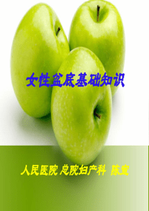 盆底的秘密