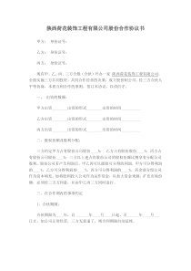 公司股份合作协议书范本