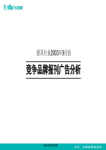 xx年厨具产品报刊广告投放分析报告