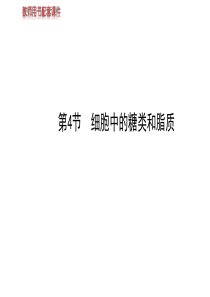 2013-2014学年高中生物必修一第2章第4节细胞中的糖类和脂质