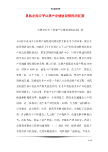 县林业局关于林果产业链建设情况的汇报