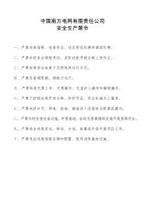 中国南方电网有限责任公司安全生产禁令