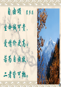 《鱼我所欲也》课件