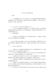 公司专业人才的管理办法