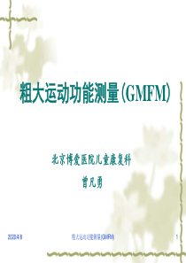 GMFM-包含分级系统