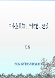 激发中小型企业的创新-EU-ChinaIPR2Pro