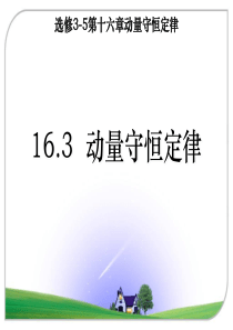 (zhgsh)16.3动量守恒定律