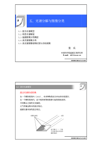 第五讲高光谱遥感讲义(张兵)