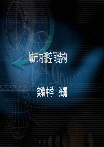 2019届高三艺考生高考复习城市内部空间结构(共25张ppt)