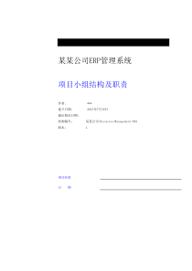 某公司ERP项目组织架构和职责V1.0