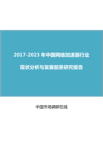 中国网络加速器行业分析报告