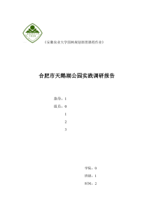 合肥市天鹅湖公园设计分析及使用调研报告