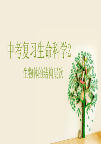 中考复习生命科学2生物体的结构层次