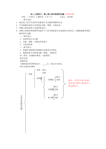 初二上册复习第三章人体内物质的运输(集体备课)