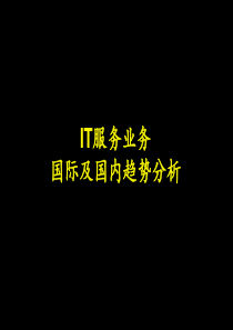 IT行业调研报告