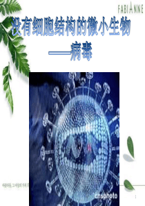 2013年人教版八年级生物上册第五章《病毒》课件