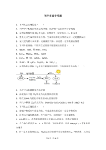 初中化学多选专项题