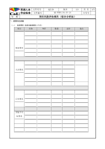 项目风险评估报告