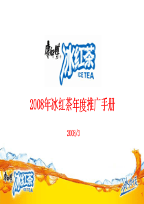 冰红年度推广手册