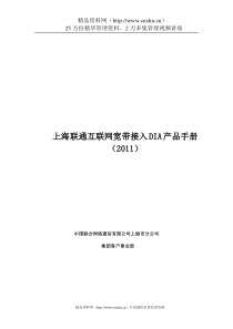 上海联通互联网宽带接入DIA产品手册（DOC29页）