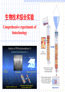 离子交换层析