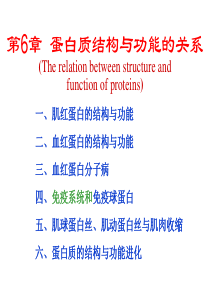 王镜岩生物化学第6章蛋白质结构与功能的关系