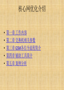 GSM核心网优化