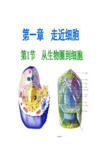 网上下载---人教版高中生物必修一(全套)课件