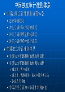 中国独立审计准则体系(精)