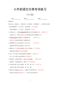 小升初语文分类专项练习(句子篇)