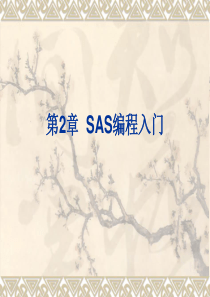 SAS编程入门