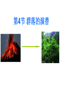 高中生物必修三群落的演替-(6)