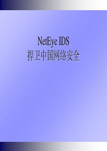 东软公司网络安全产品NetEye_IDS（PPT42页)