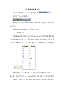 云龙国际音标输入法