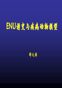 ENU与疾病动物模型